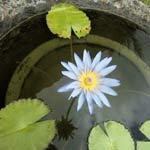 Avatar de l’utilisateur