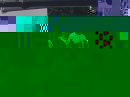 s1080913013_132939_4122.jpg