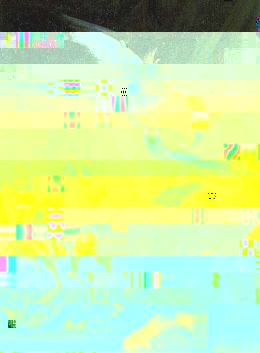 crbst_20200h1.jpg