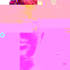 51Q83CC432L__SL500_AA240_.jpg